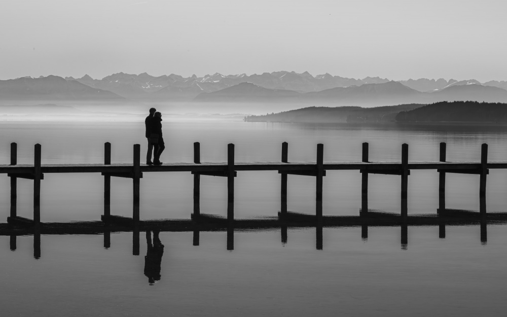 into... à Andy Dauer