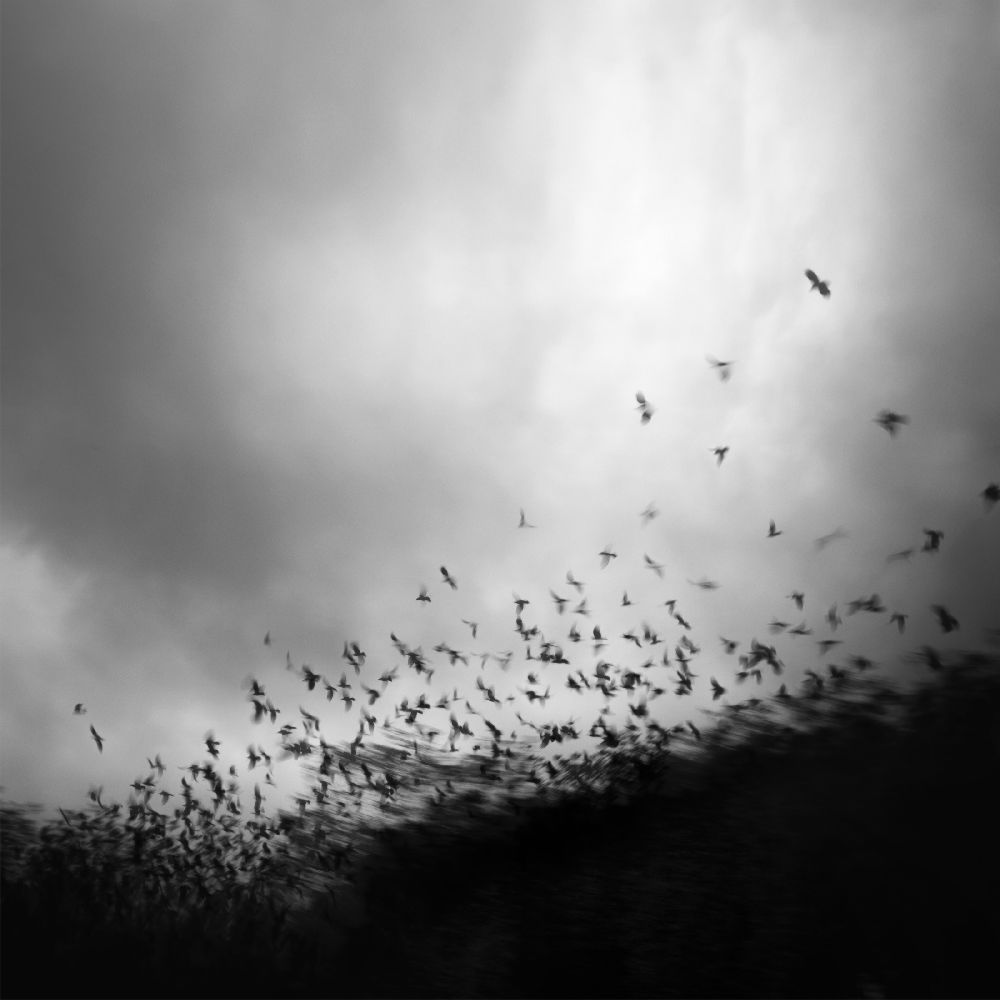 without you, my whole world comes apart at the seams à Andy Lee