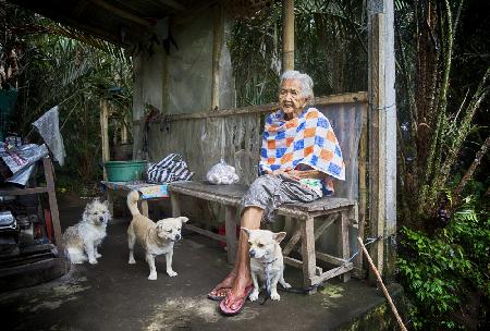 Old Lady and 3 dogs