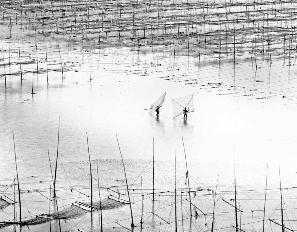 Looking for Fry à Angela Muliani Hartojo