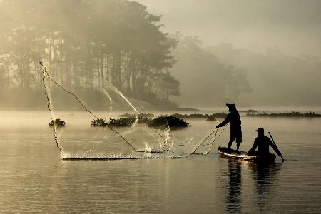 Morning Mist