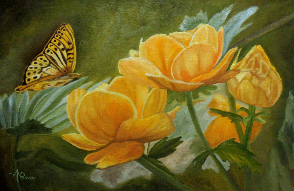 Butterfly Among Yellow Flowers à Angeles M. Pomata