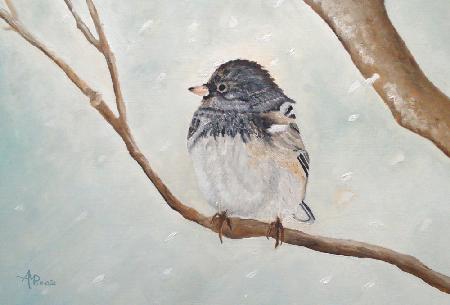 Snowbird In the Blizzard