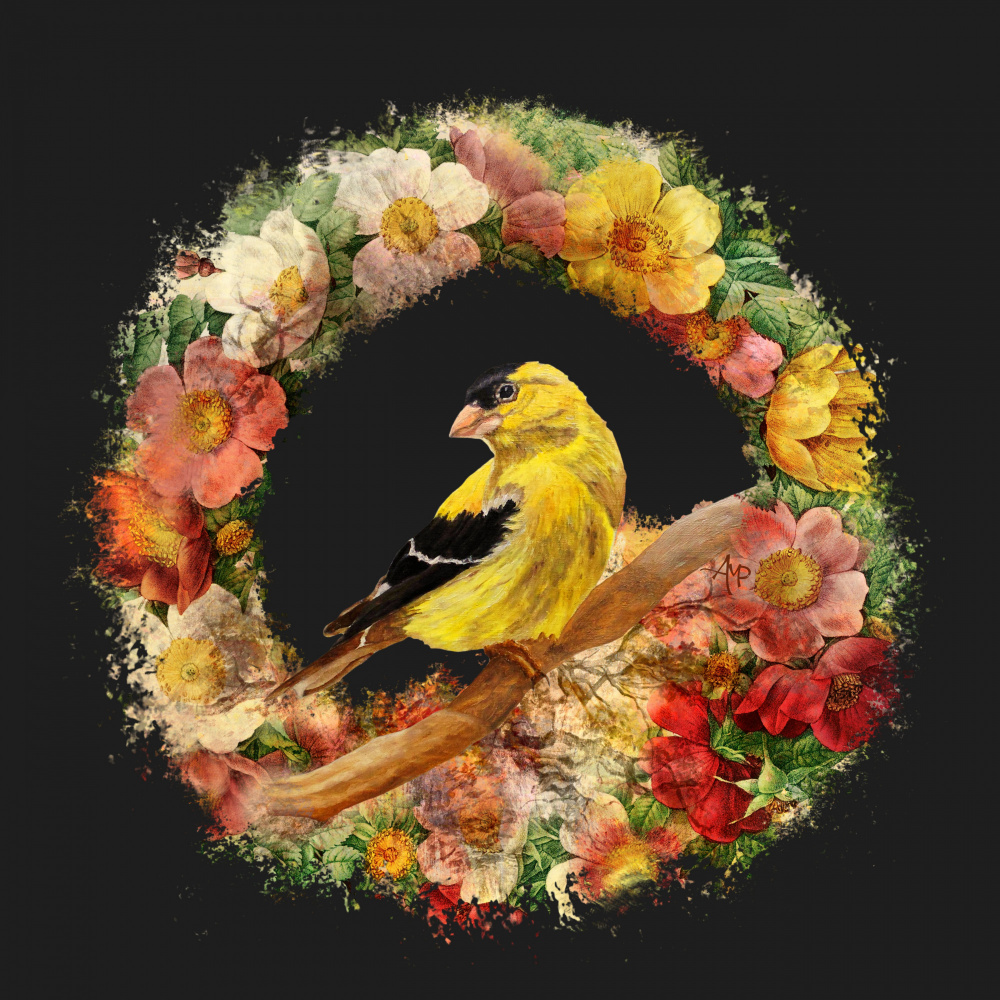 Goldfinch In Flowers Garland.png à Angeles M. Pomata