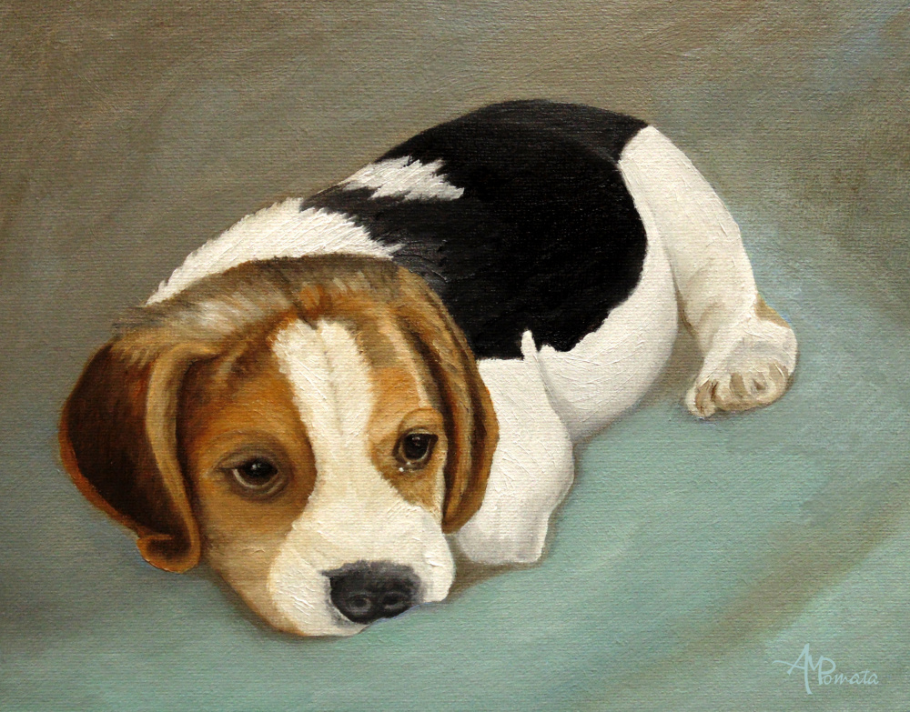 Cute Beagle à Angeles M. Pomata