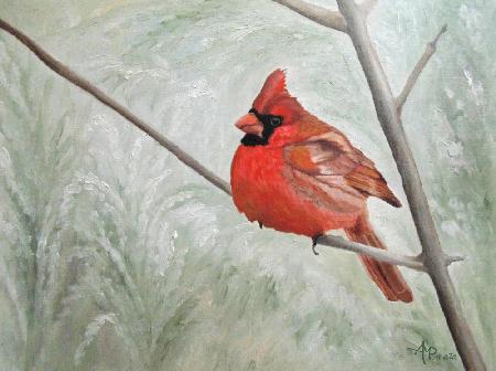 Winter Cardinal