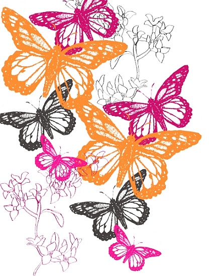 Butterfly à  Anna  Platts