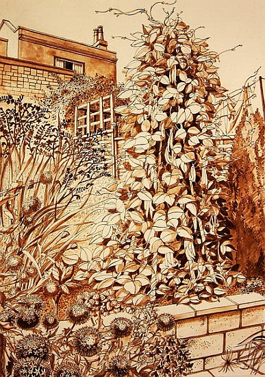Back Garden with Beans, Bath (pen & ink and wash on paper)  à Anna  Teasdale