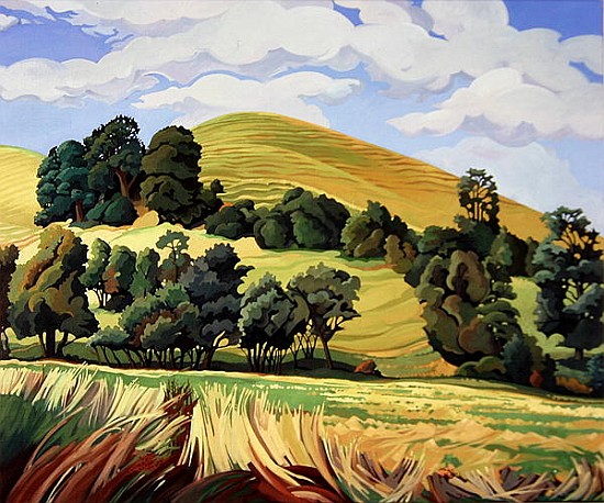 Little Hill, Cold Ashton (oil on canvas)  à Anna  Teasdale