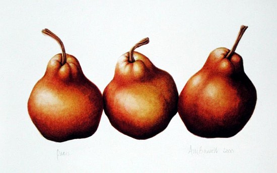 Pears, 2000 (w/c on paper)  à Annabel  Barrett