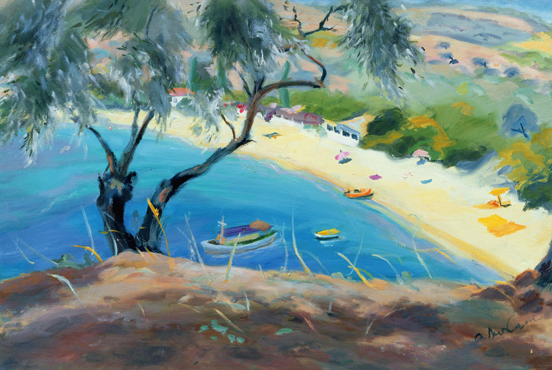 Achladies Bay, Skiathos, Greece, 1985 (oil on canvas)  à Anne  Durham