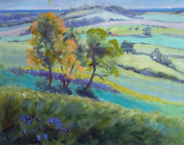 Towards Winchelsea, Sussex, with Bluebells in Spring (oil on canvas)  à Anne  Durham