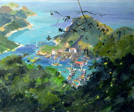 View of Aberdeen from the Peak, Hong Kong (oil on canvas)  à Anne  Durham