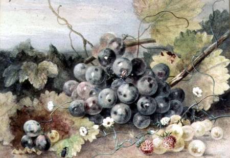 Grapes and Strawberries à Anne Frances Byrne