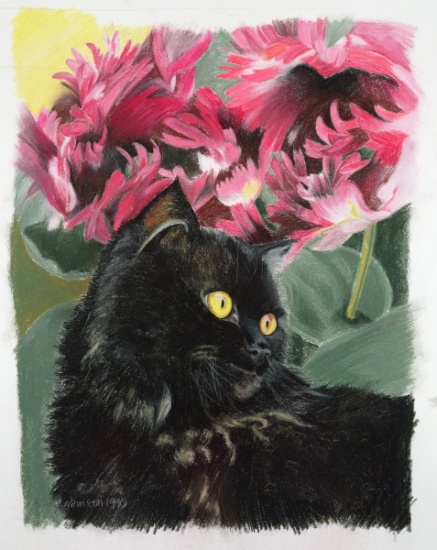 Black tulips à Anne  Robinson