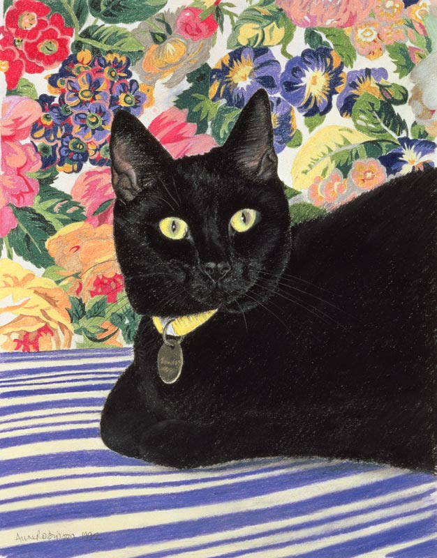Black Cat (pastel on paper)  à Anne  Robinson