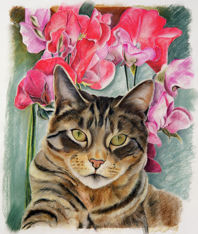Cat with sweet peas à Anne  Robinson