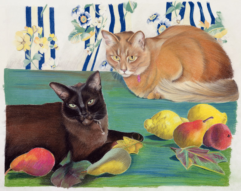 Cats with fruit à Anne  Robinson