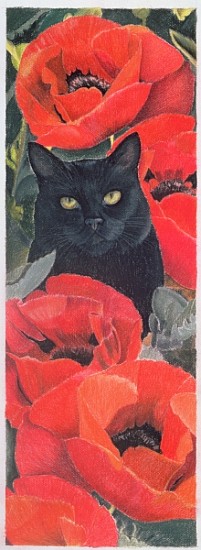 Black Cat with Poppies (pastel on paper)  à Anne  Robinson