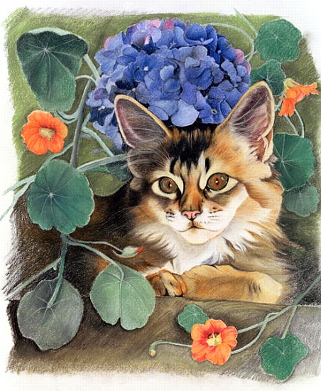 Sootsy with Hydrangea (pastel on paper)  à Anne  Robinson