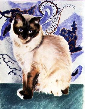 Oriental Cat (pastel on paper) 