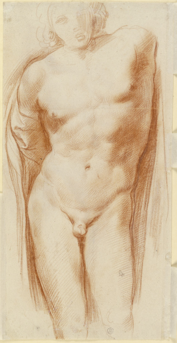 Nude of a boy à Annibale Carracci, dit Carrache