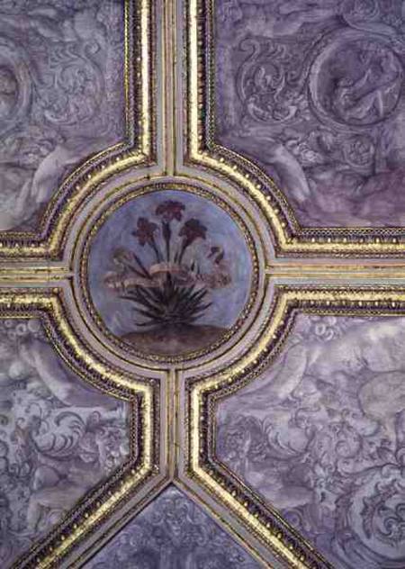 Floral ceiling decoration, from the 'Camerino' à Annibale Carracci, dit Carrache