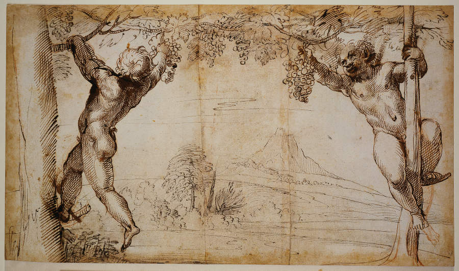 Two Young Satyrs picking Grapes à Annibale Carracci, dit Carrache