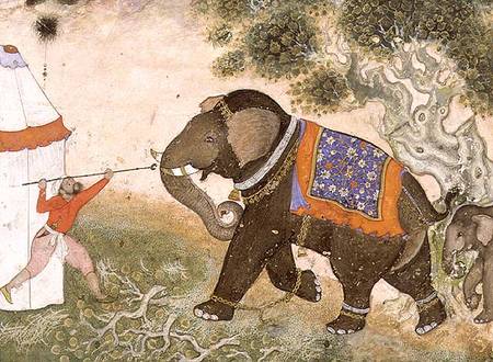 52.43 An enraged elephant, Mughal à Anonyme