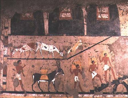 Agricultural scene, wall painting removed from the Mastaba of Ti at Sakkara, Old Kingdom à Anonyme