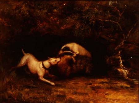 Dogs Baiting a Badger à Anonyme
