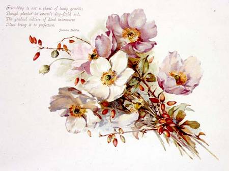 Friendship, Victorian, book illustration of flowers à Anonyme