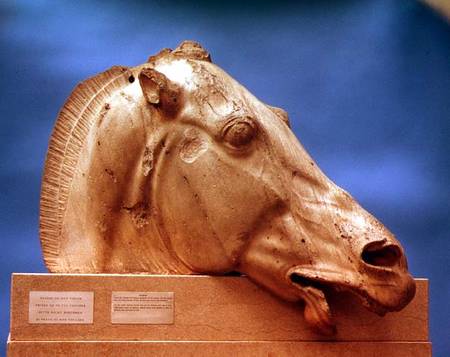 Head of one of the horses of Selene, goddess of the moon,from the east pediment of the Parthenon à Anonyme