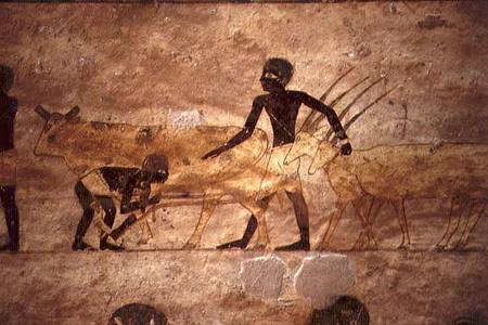 Procession with cattle and gazelles, detail from a tomb wall painting,Egyptian à Anonyme