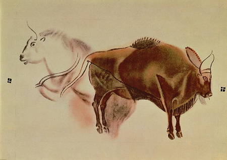 Rock painting of two bison à Anonyme