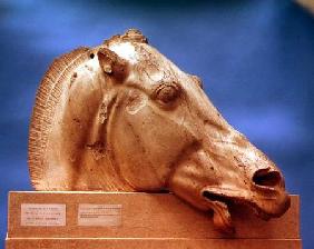 Head of one of the horses of Selene, goddess of the moon,from the east pediment of the Parthenon