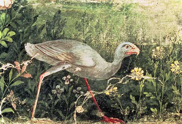 Wall painting of a Sultan chicken in a gardenPompeii à Anonyme