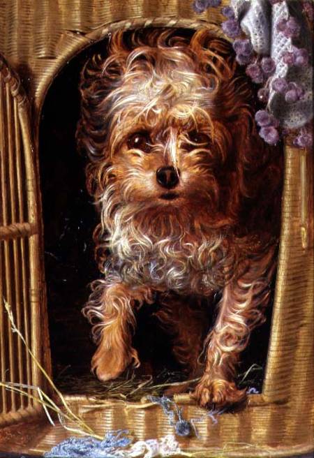 Darby, a Yorkshire Terrier à Anthony Frederick Augustus Sandys