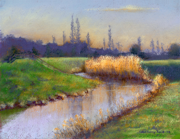 Winter Evening on the Clyst à Anthony  Rule