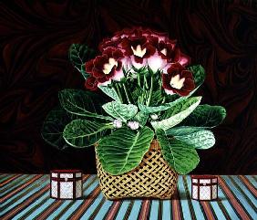 Gloxiana Still Life, 1980 (acrylic on board) 