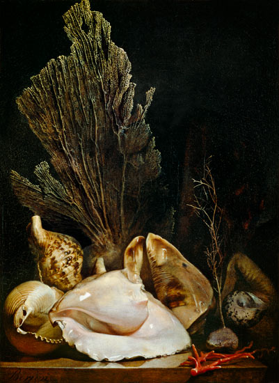 Still Life of Shells and Coral à Antoine Berjon