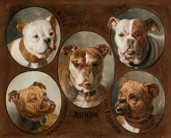Nell, Dido, Punch, Maggie lauder and Alexander, English Bulldogs à Antoine Dury