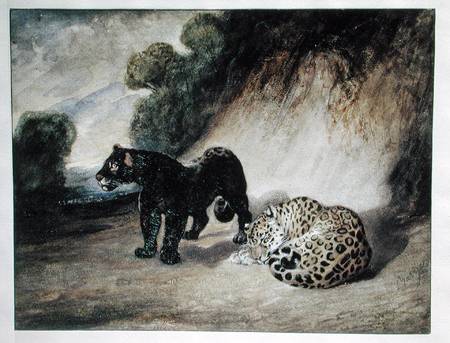 Two Jaguars from Peru à Antoine Louis Barye