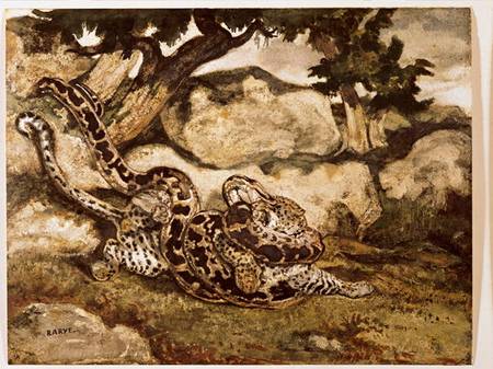 A Python Killing a Tiger (w/c & gouache on paper) à Antoine Louis Barye