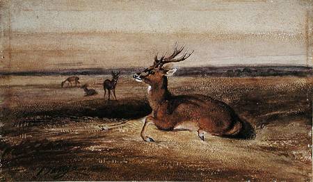 Resting Deer à Antoine Louis Barye