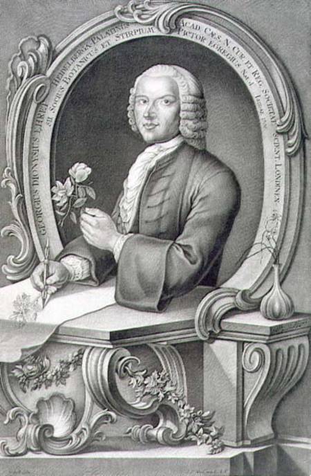 Portrait of Georg Dionysius Ehret (1710-70) engraved by Johann Jakob Haid (1704-67) à Anton Heckel