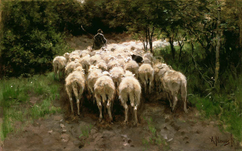 Sheeps in the forest à Anton Mauve