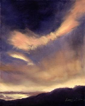 Butterfly Clouds, 2002 (oil on canvas) 