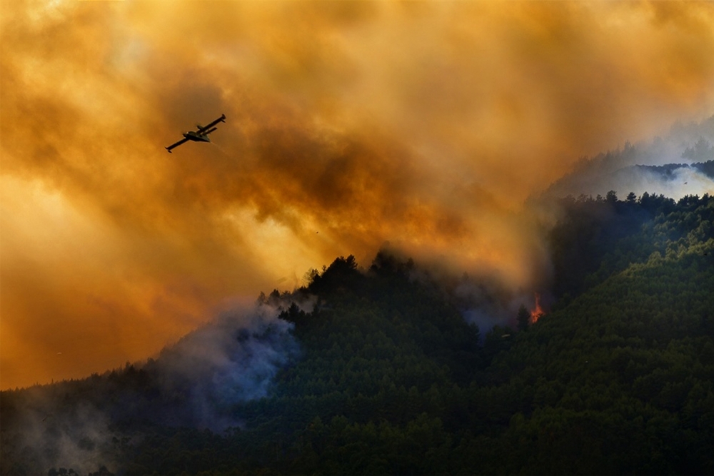 Fire in the Cilento National Park - Italy à Antonio Grambone