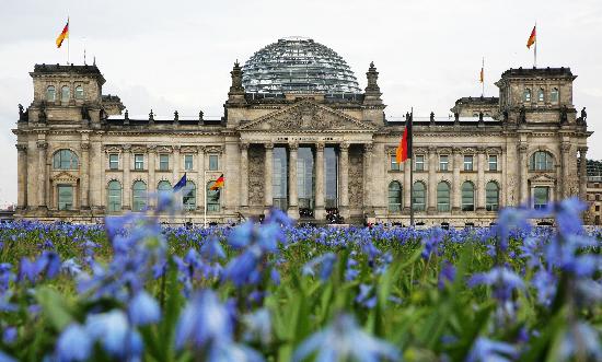 Blumenwiese vor Reichstag à Arno Burgi